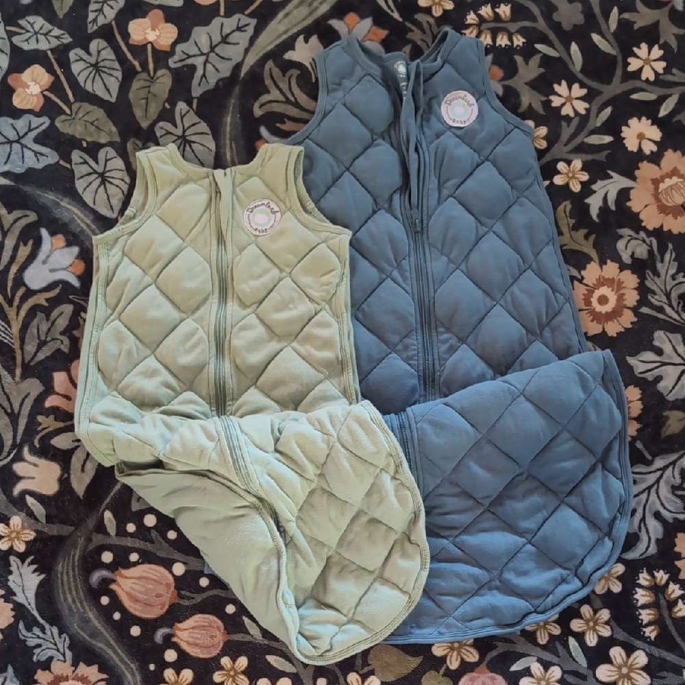 Kids Quilted Sleep Sacks - Blue and Green